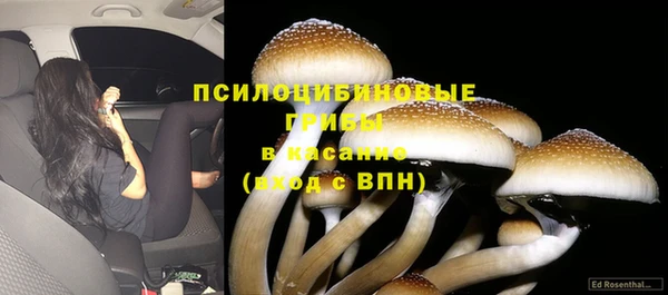альфа пвп Карталы