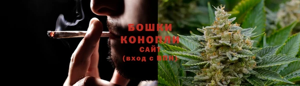 шишки Кинешма