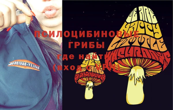 альфа пвп Касимов