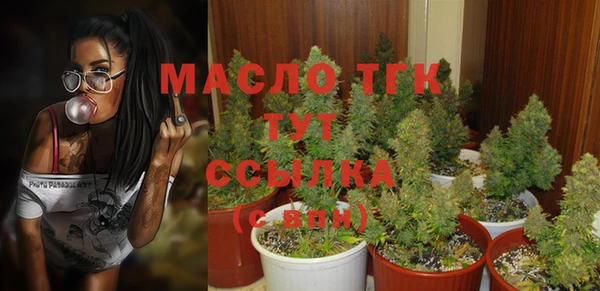 дурь Карпинск