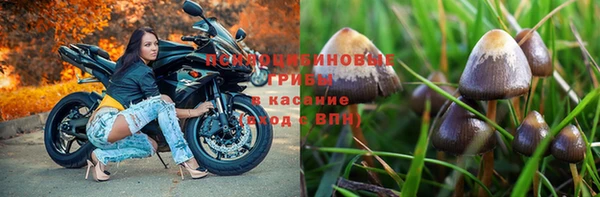 альфа пвп Карталы