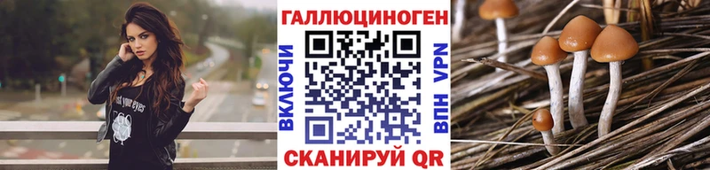 Галлюциногенные грибы Psilocybe  закладка  Клинцы 