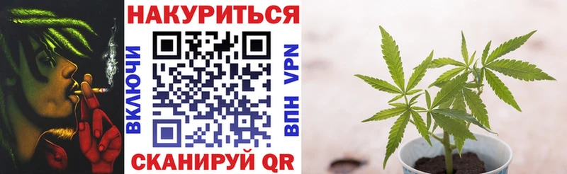 закладка  Клинцы  Бошки марихуана White Widow 